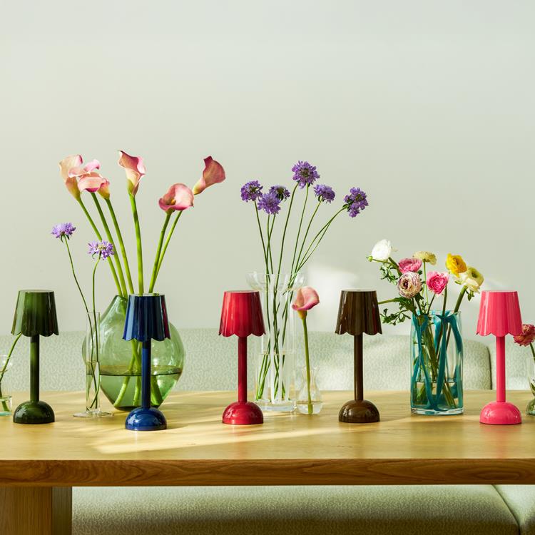 Chocolate Scallop Rechargeable LED Lamp