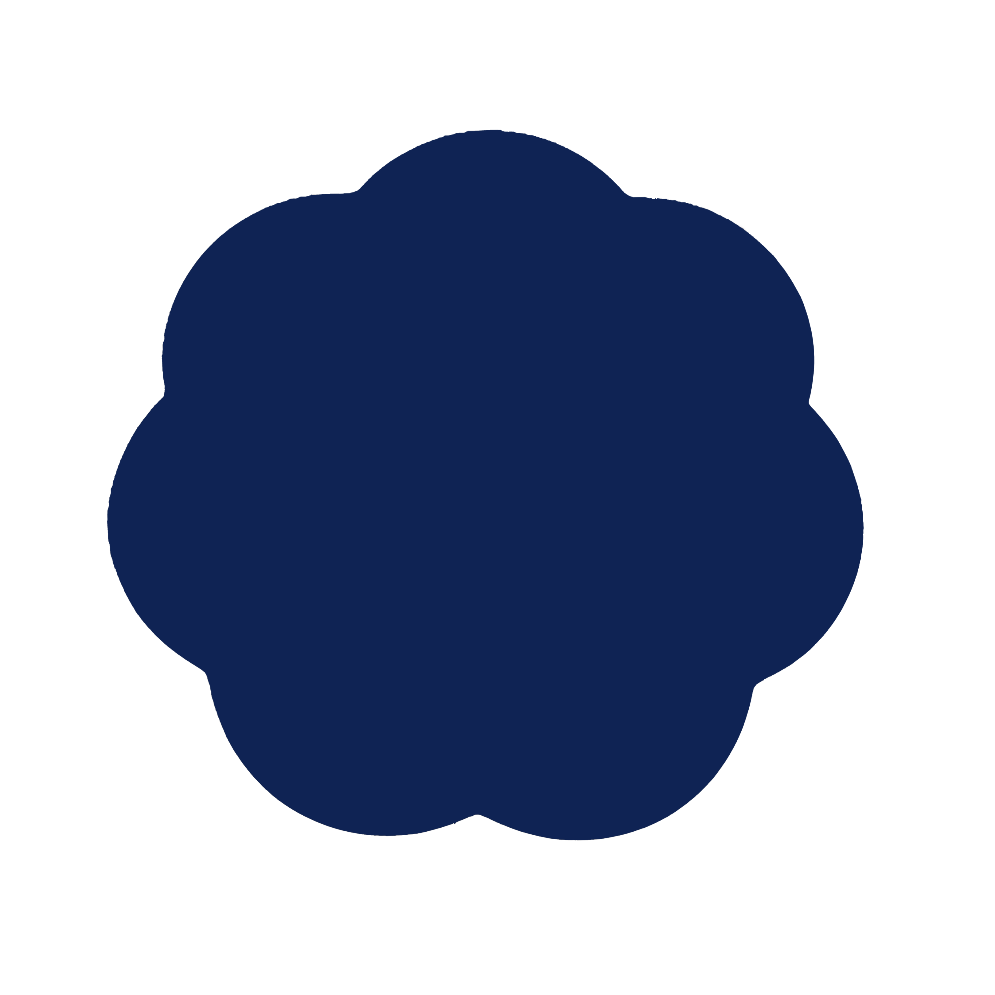 Navy Lacquer Placemats - Set of 4