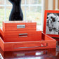 Orange Crocodile Jewelry Box: Silver Trim